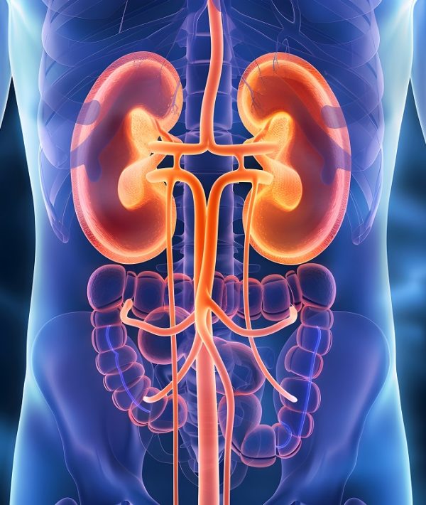 Comprehensive Image Depicting the Realities of Living with Renal Failure Highlighting the Importance of Support Groups and Necessary Lifestyle Adjustments for Patients